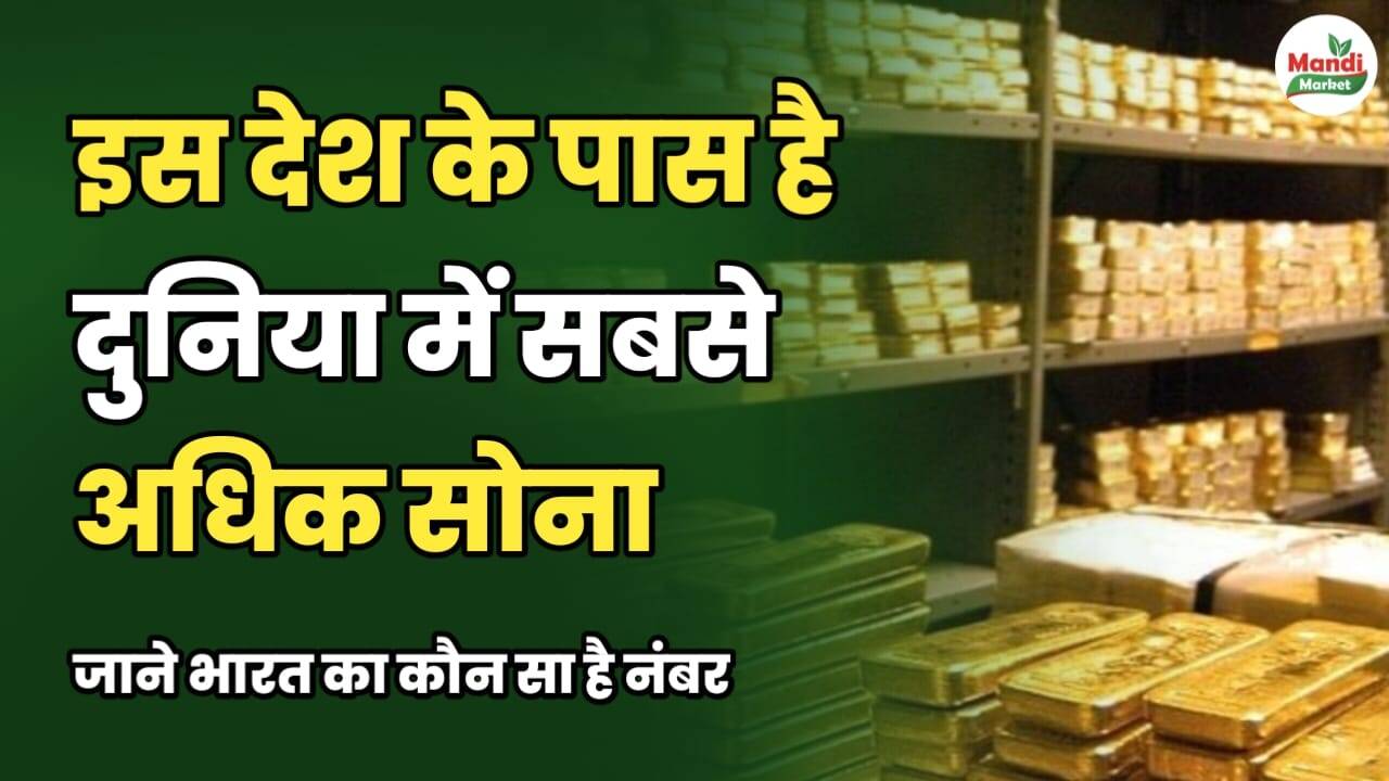 इस देश के पास है दुनिया में सबसे अधिक सोना | जानें भारत का कौन सा है नंबर