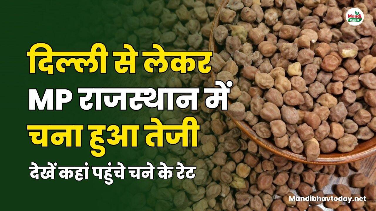 देखें कहां पहुंचे चने के रेट