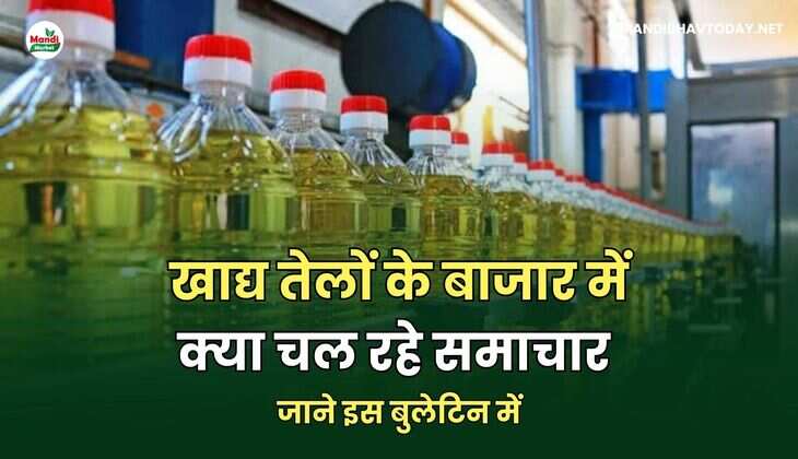 खाद्य तेलों के बाजार में क्या चल रहे समाचार | जाने इस बुलेटिन में