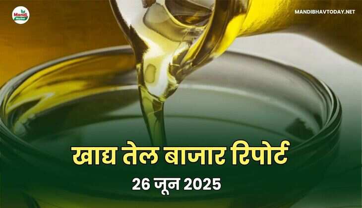 खाद्य तेल बाजार रिपोर्ट - 26 जून 2025