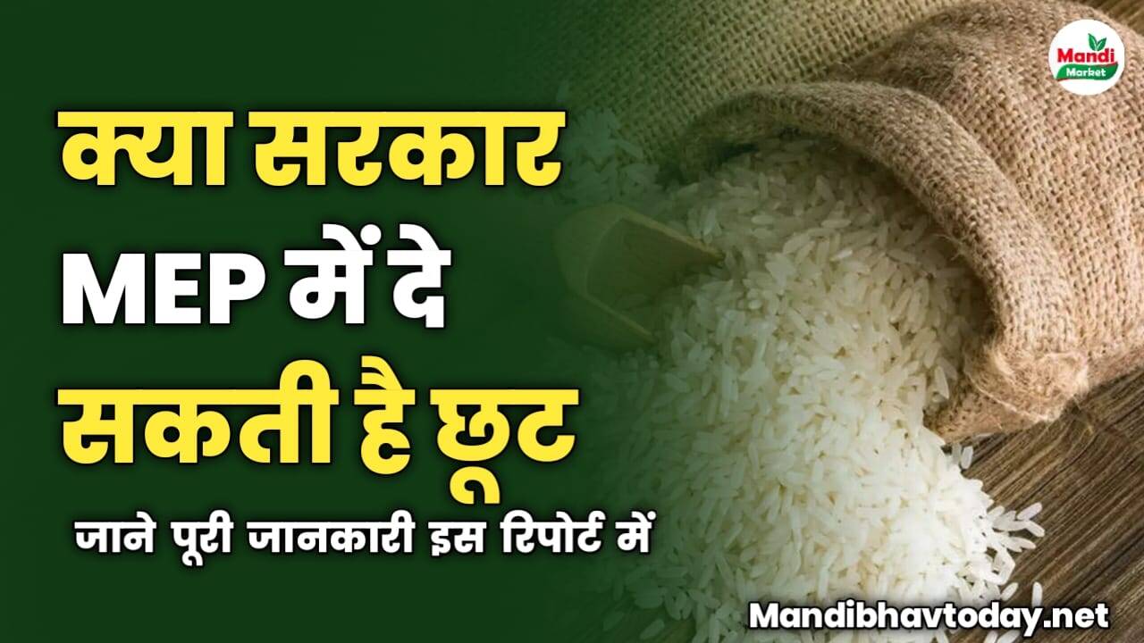 क्या सरकार MEP में दे सकती है छूट | जाने पूरी जानकारी इस रिपोर्ट में