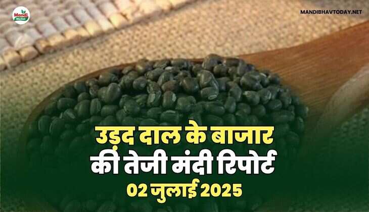 उरड़ IMAGES