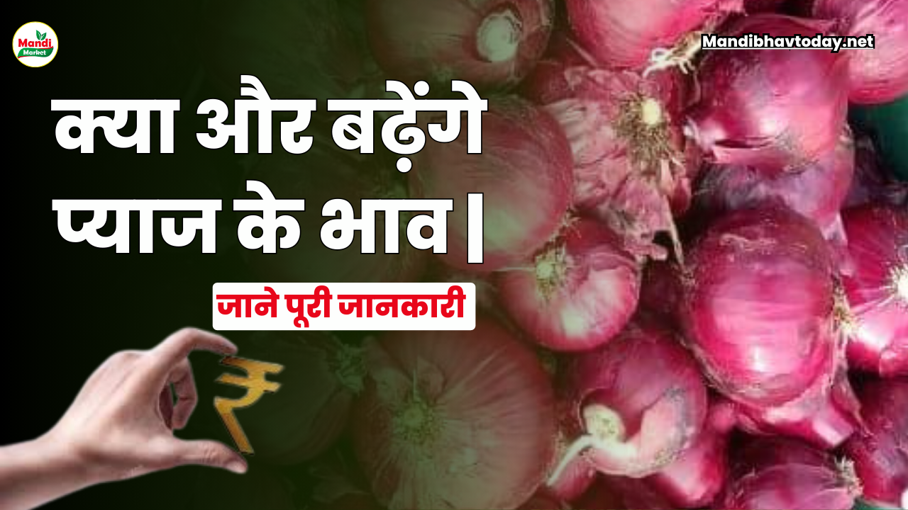 क्या और बढ़ेंगे प्याज के भाव |