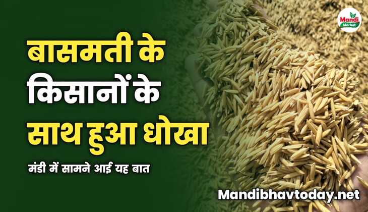 बासमती के किसानों के साथ हुआ धोखा | मंडी में सामने आई यह बात