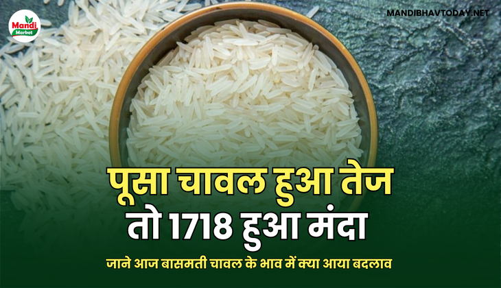 बासमती image