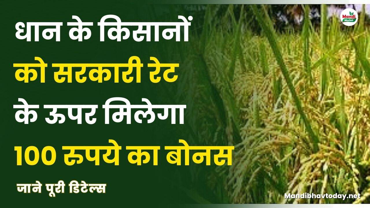 धान के किसानों को सरकारी रेट के उपर मिलेगा 100 रुपये का बोनस | जाने पूरी डिटेल्स