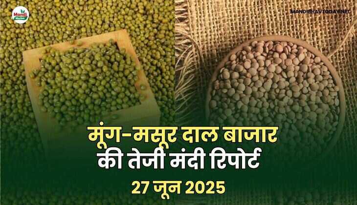 mong masur daal images