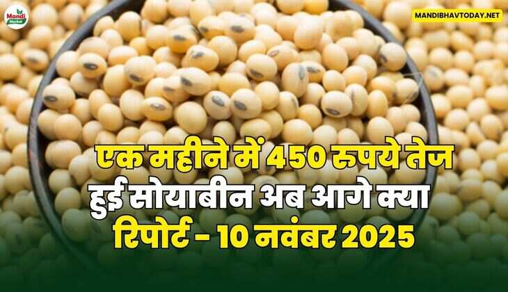एक महीने में 450 रुपये तेज हुई सोयाबीन अब आगे क्या