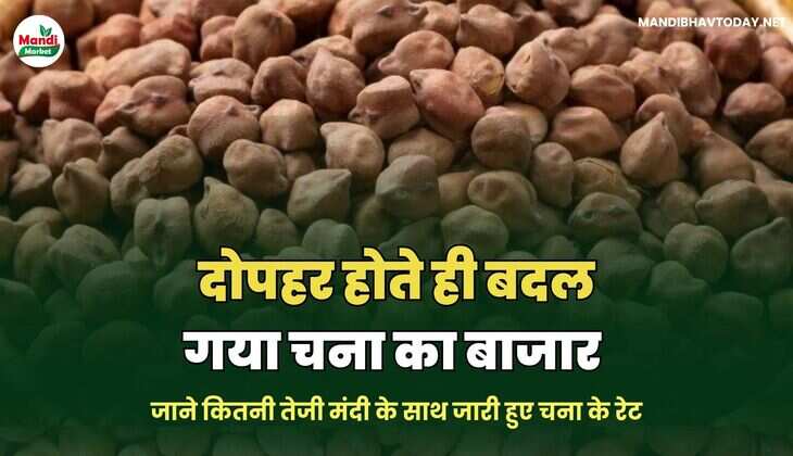 चना 