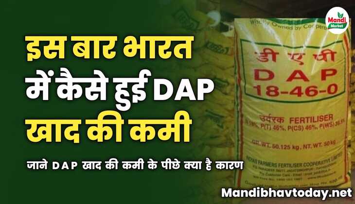 इस बार भारत में कैसे हुई DAP खाद की कमी | जाने DAP खाद की कमी के पीछे क्या है कारण 