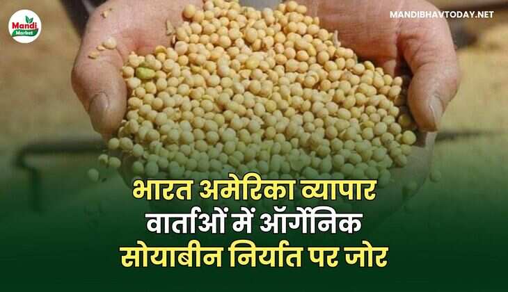 भारत अमेरिका व्यापार वार्ताओं में ऑर्गेनिक सोयाबीन निर्यात पर जोर