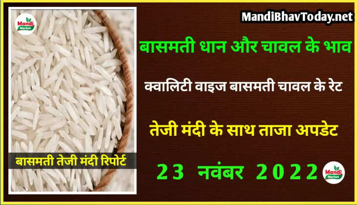 basmati rice rate 