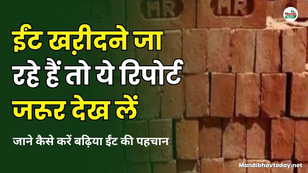 ईंट खऱीदने जा रहे हैं तो ये रिपोर्ट जरूर देख लें | जाने कैसे करें बढ़िया ईंट की पहचान