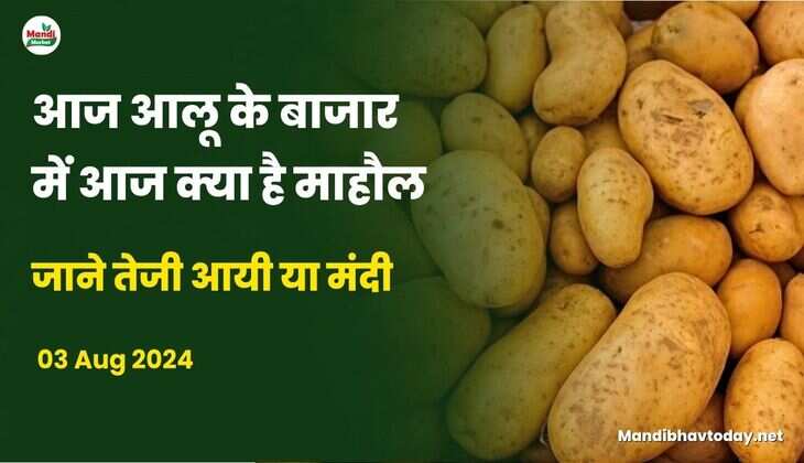 जाने तेजी आयी या मंदी