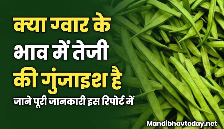 क्या ग्वार के भाव में तेजी की गुंजाइश है | जाने पूरी जानकारी इस रिपोर्ट में 