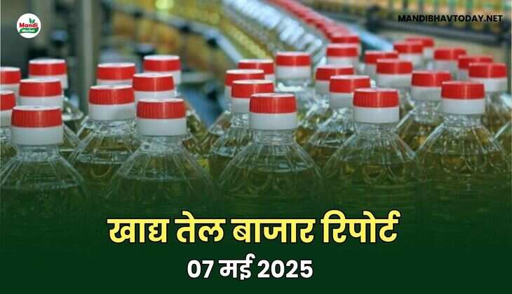 खाद्य तेल बाजार रिपोर्ट – 07 मई 2025