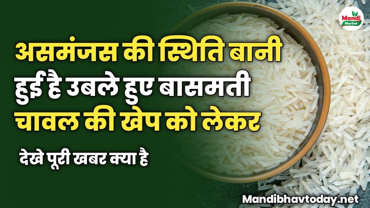 असमंजस की स्थिति बानी हुई है उबले हुए बासमती चावल की खेप को लेकर | देखे पूरी खबर क्या है