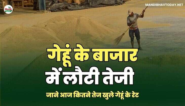 mandibhavtoday