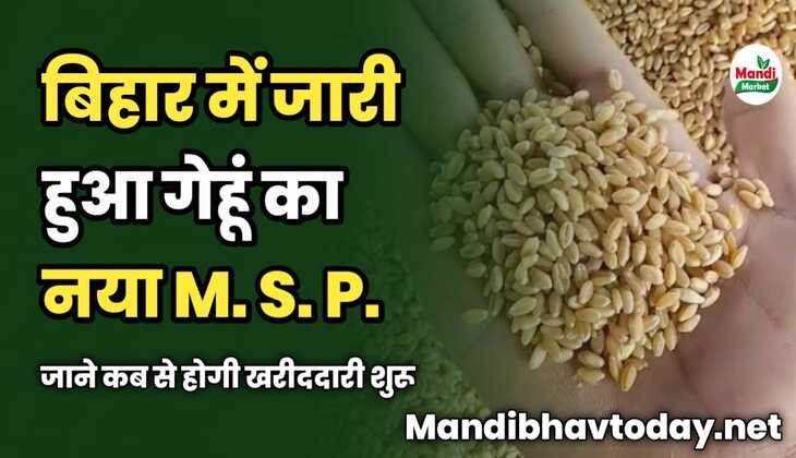 बिहार में जारी हुआ गेहूं का नया MSP | जाने कब से होगी खरीददारी शुरू 