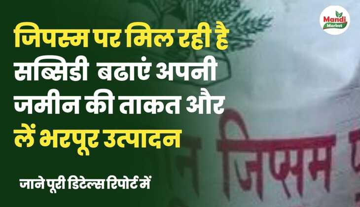 जिप्सम पर मिल रही है सब्सिडी | बढ़ाएं अपनी ज़मीन की ताकत और लें भरपूर उत्पादन | जानें पूरी डिटेल्स।