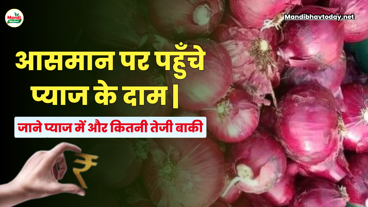 आसमान पर पहुँचे प्याज के दाम | जाने प्याज में और कितनी बाकी