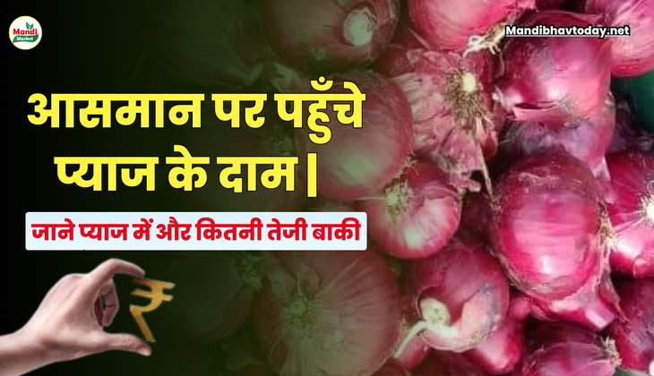 आसमान पर पहुँचे प्याज के दाम |  जाने प्याज में और कितनी बाकी