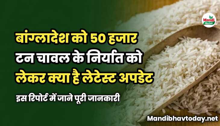 बांग्लादेश को 50 हजार टन चावल के निर्यात को लेकर क्या है लेटेस्ट अपडेट | इस रिपोर्ट में जाने