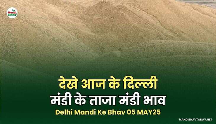 Delhi Mandi Ke Bhav 05 MAY 2025