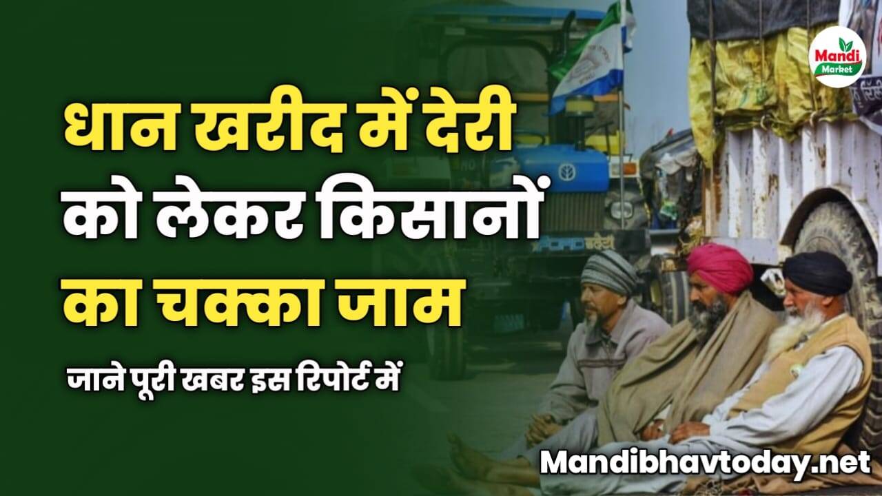 धान खरीद में देरी को लेकर किसानों का चक्का जाम | जाने पूरी खबर