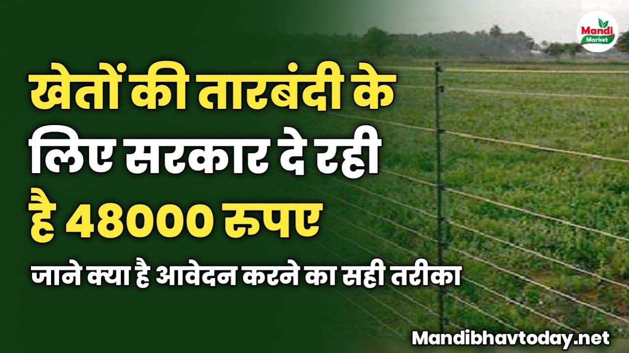 खेतों की तारबंदी के लिए सरकार दे रही है 48000 रुपए | जाने क्या है आवेदन करने का सही तरीका