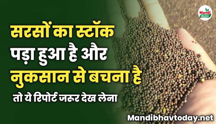 सरसों का स्टॉक पड़ा हुआ है और नुकसान से बचना है | तो ये रिपोर्ट जरूर देख लेना