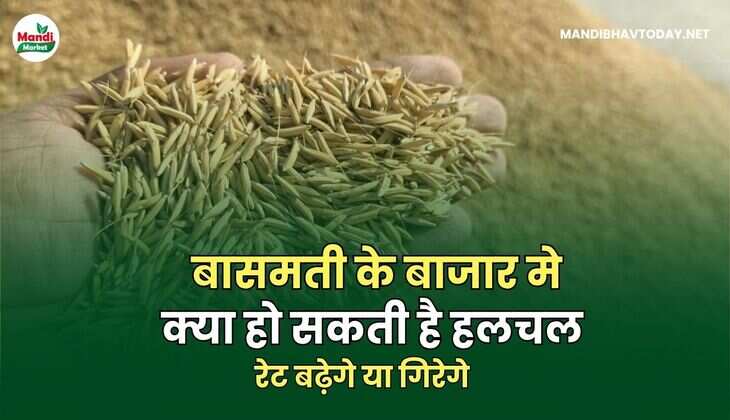 बासमती images