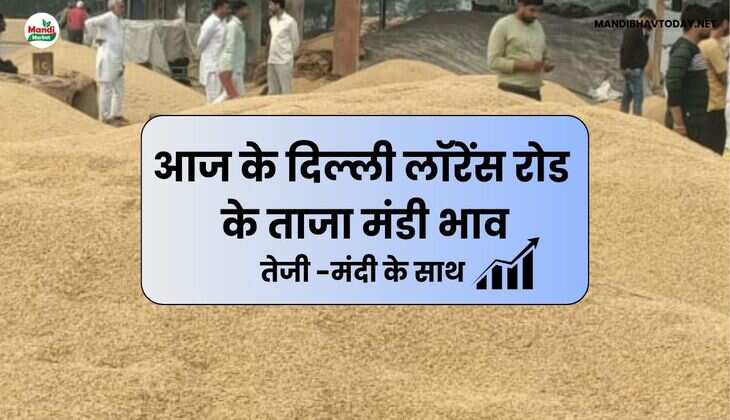 Delhi Lawrence Road market opening rate