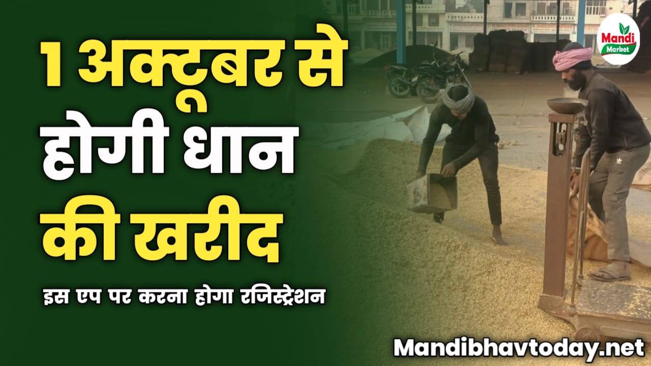 1 अक्टूबर से होगी धान की खरीद | इस एप पर करना होगा रजिस्ट्रेशन