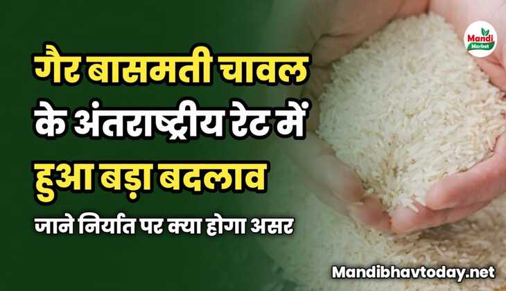 गैर बासमती चावल के अंतराष्ट्रीय रेट में हुआ बड़ा बदलाव | जाने निर्यात पर क्या होगा असर