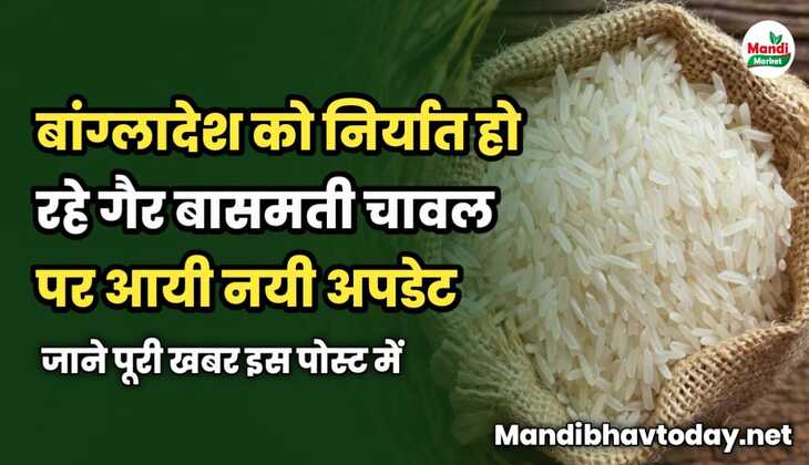 बांग्लादेश को निर्यात हो रहे गैर बासमती चावल पर आयी नयी अपडेट | जाने पूरी खबर