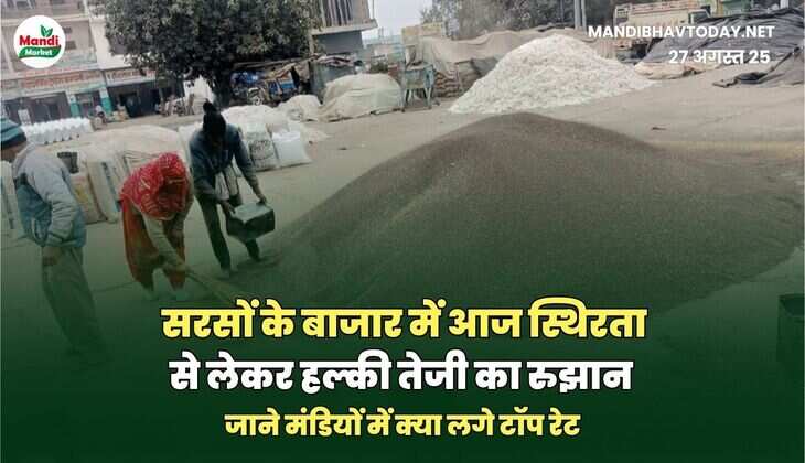 सरसों IMAGES