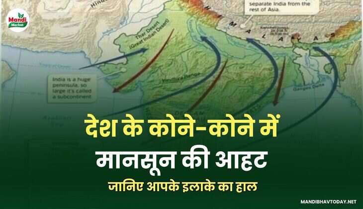 देश के कोने-कोने में मानसून की आहट। जानिए आपके इलाके का हाल