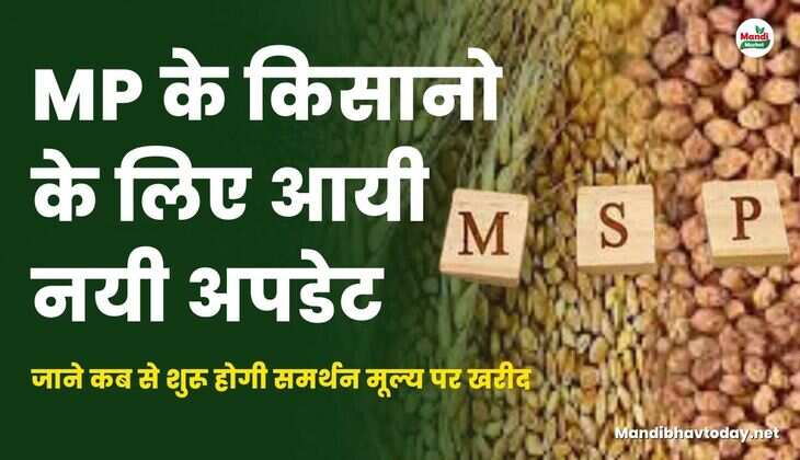 MP के किसानो के लिए आयी नयी अपडेट | जाने कब से शुरू होगी समर्थन मूल्य पर खरीद