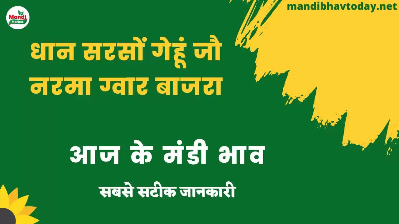 mandi bhav today