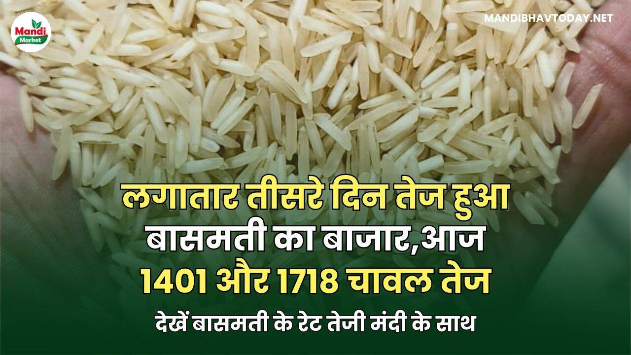 लगातार तीसरे दिन तेज हुआ बासमती का बाजार | आज 1401 और 1718 चावल तेज | देखें बासमती के रेट तेजी मंदी के साथ