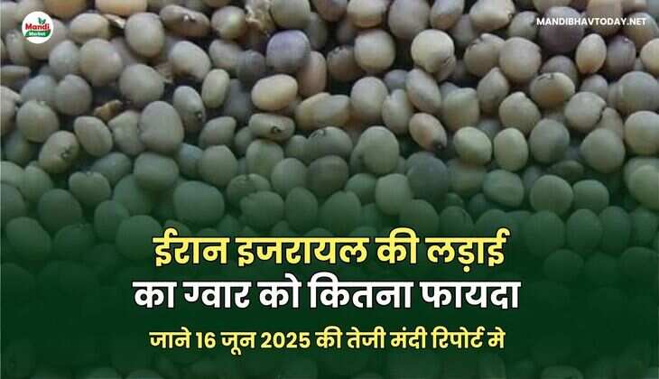 ग्वार image