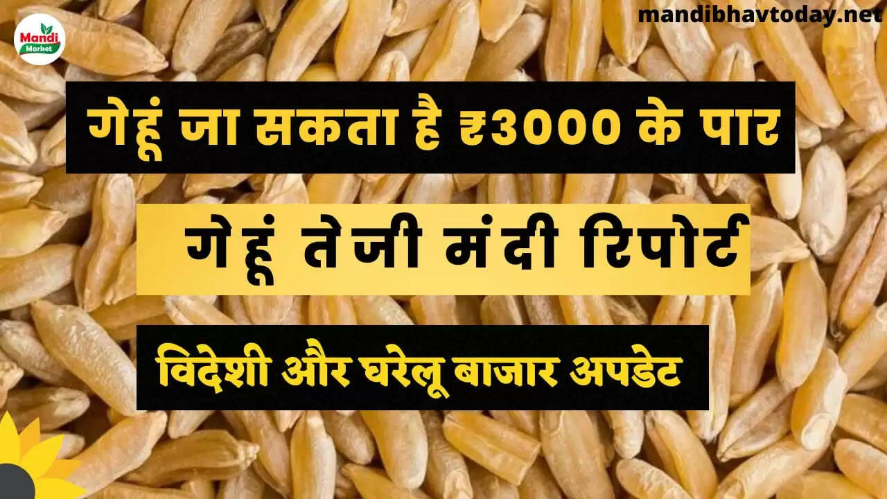 wheat export