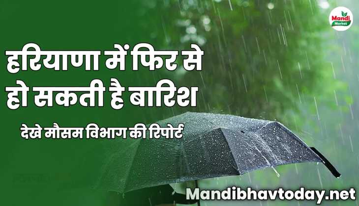 हरियाणा में फिर से हो सकती है बारिश | देखे मौसम विभाग की रिपोर्ट