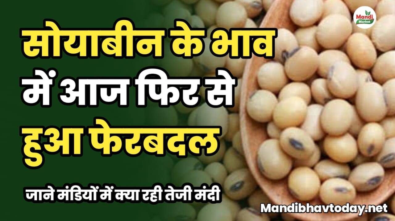 सोयाबीन के भाव में आज फिर से हुआ फेरबदल | जाने मंडियों में क्या रही तेजी मंदी soyabean ke taja mandi bhav 4 january 2025