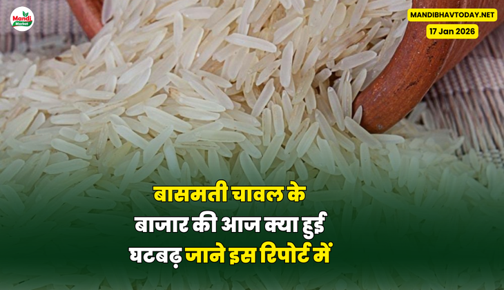 चावल के व्यापार मे तेजी या मंदी की लहर |देखें इस रिपोर्ट में 
