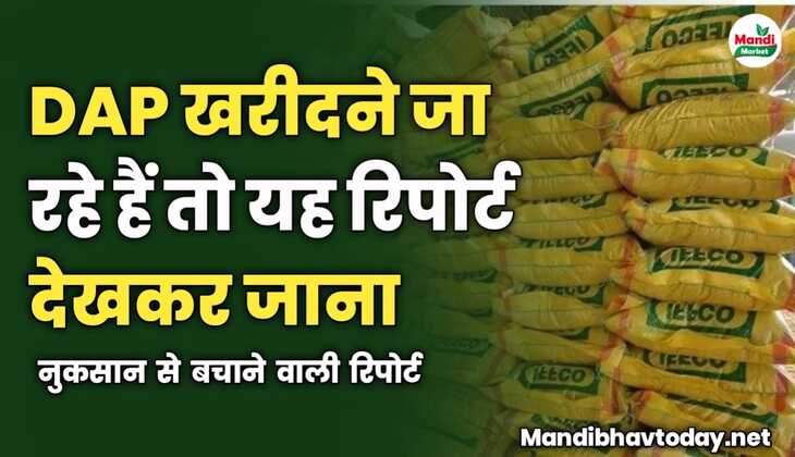 DAP खरीदने जा रहे हैं तो यह रिपोर्ट देखकर जाना | नुकसान से बचाने वाली रिपोर्ट