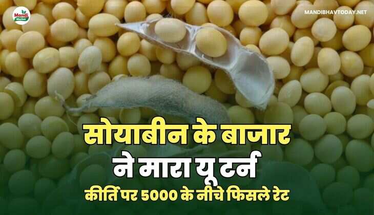 कीर्ति पर 5000 के नीचे फिसले रेट