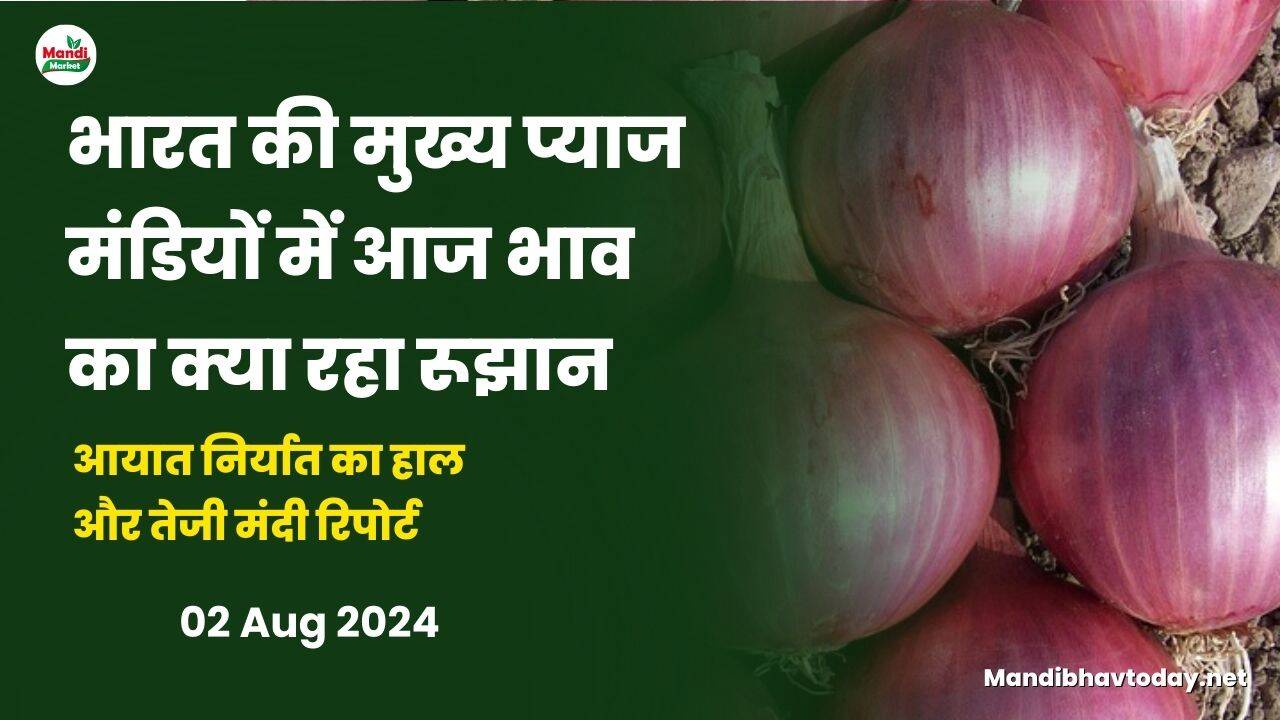 भारत की मुख्य प्याज मंडियों में आज भाव का क्या रहा रूझान | आयात निर्यात का हाल और तेजी मंदी रिपोर्ट