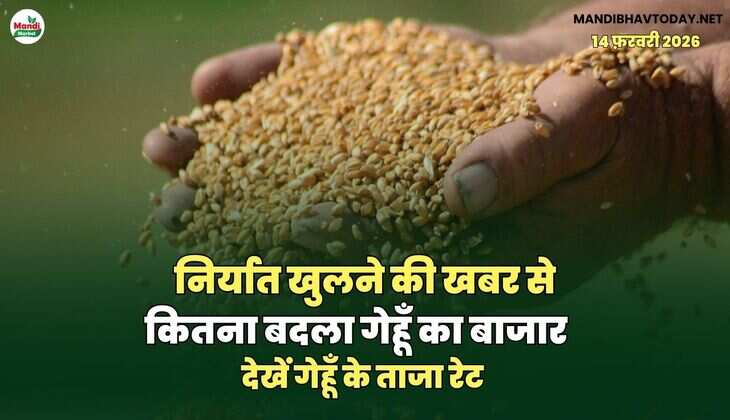 जाने किस रेट से खुले भाव 